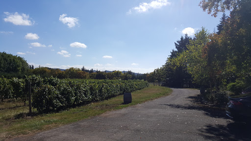 Vineyard «AlexEli Vineyard & Winery», reviews and photos, 35803 OR-213, Molalla, OR 97038, USA