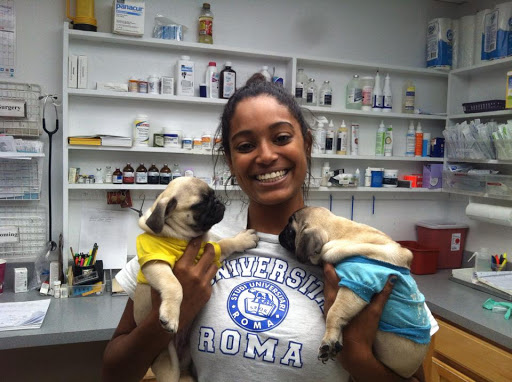 12311 Wilkins Ave, Rockville, MD 20852, USA