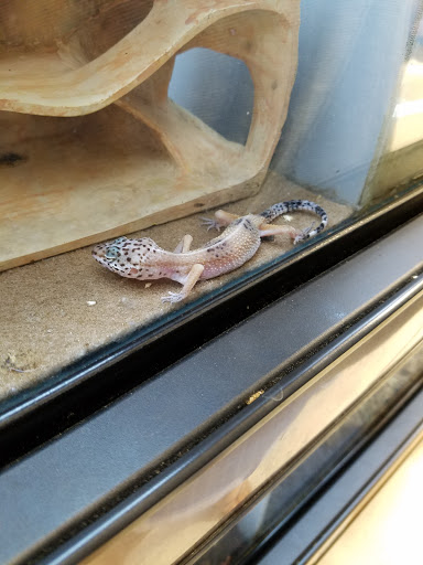 Pet Supply Store «Petco Animal Supplies», reviews and photos, 7590 150th St W, Apple Valley, MN 55124, USA