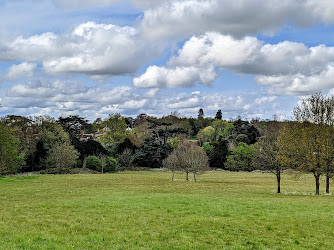 Cobham Cricket Club