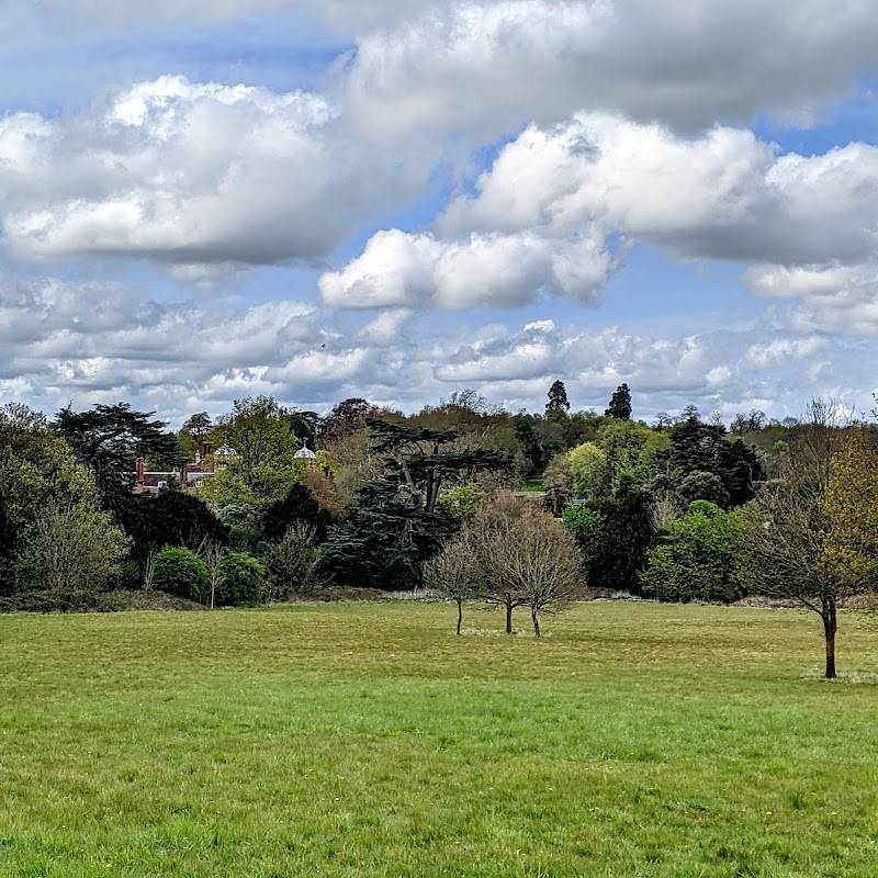 Cobham Cricket Club