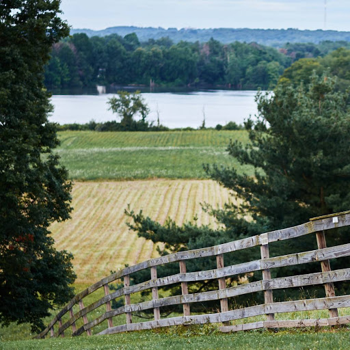 Vineyard «The Winery at Wolf Creek», reviews and photos, 2637 S Cleveland Massillon Rd, Barberton, OH 44203, USA