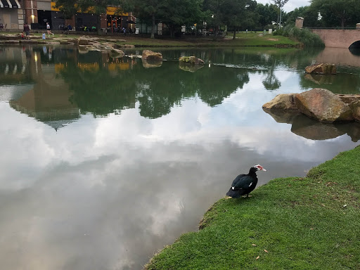 Park «Terry Hershey Park», reviews and photos, 15200 Memorial Dr, Houston, TX 77079, USA