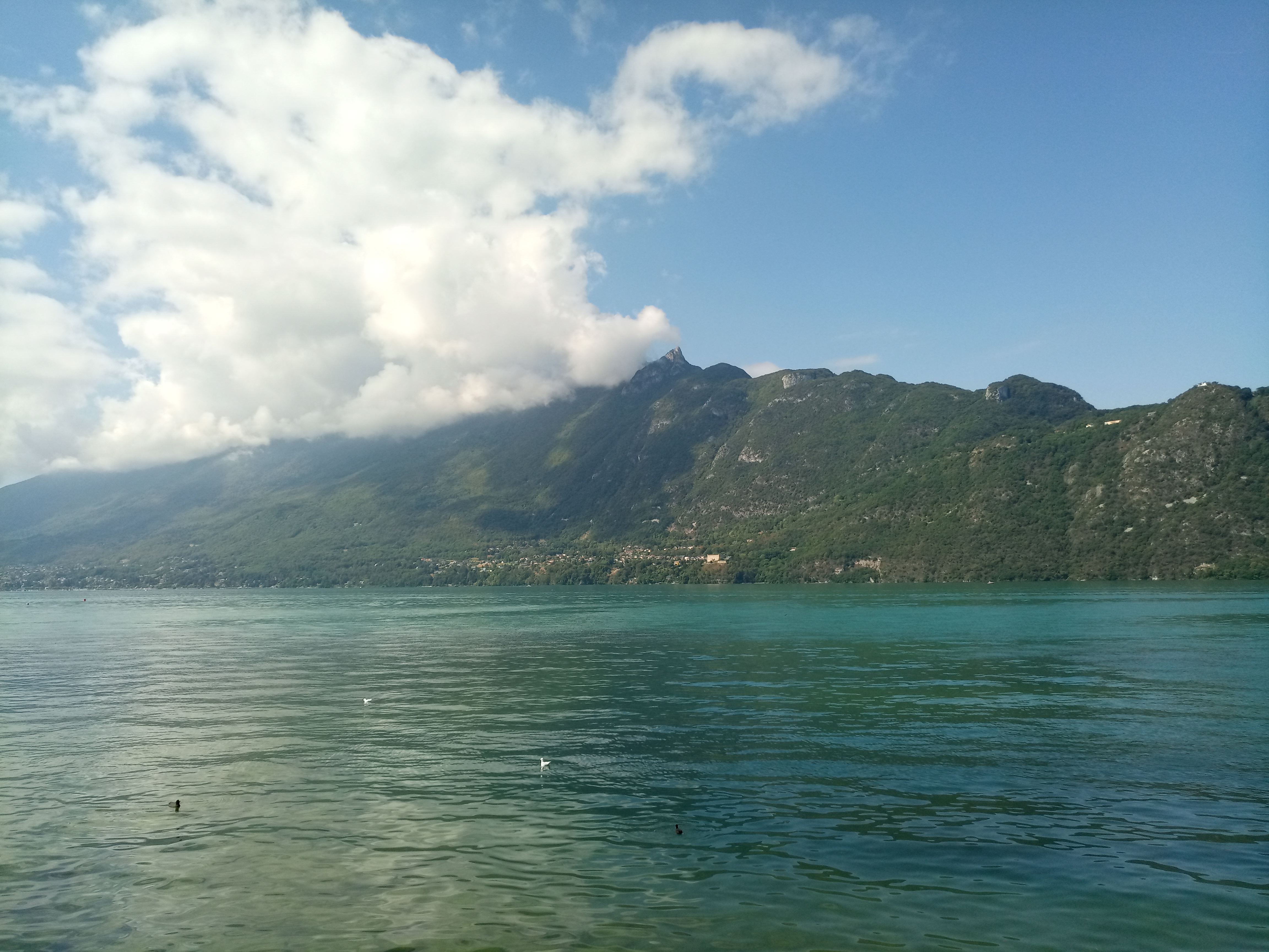 Photo n° 4 de l'avis de Philippe.h fait le 19/08/2020 à 11:13