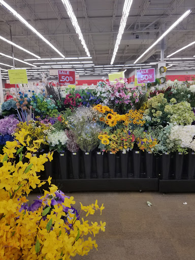 Craft Store «A.C. Moore Arts and Crafts», reviews and photos, 1041 Beaver Creek Commons Dr, Apex, NC 27502, USA