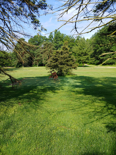 Golf Course «Little Met Golf Course», reviews and photos, 18599 Old Lorain Rd, Cleveland, OH 44135, USA