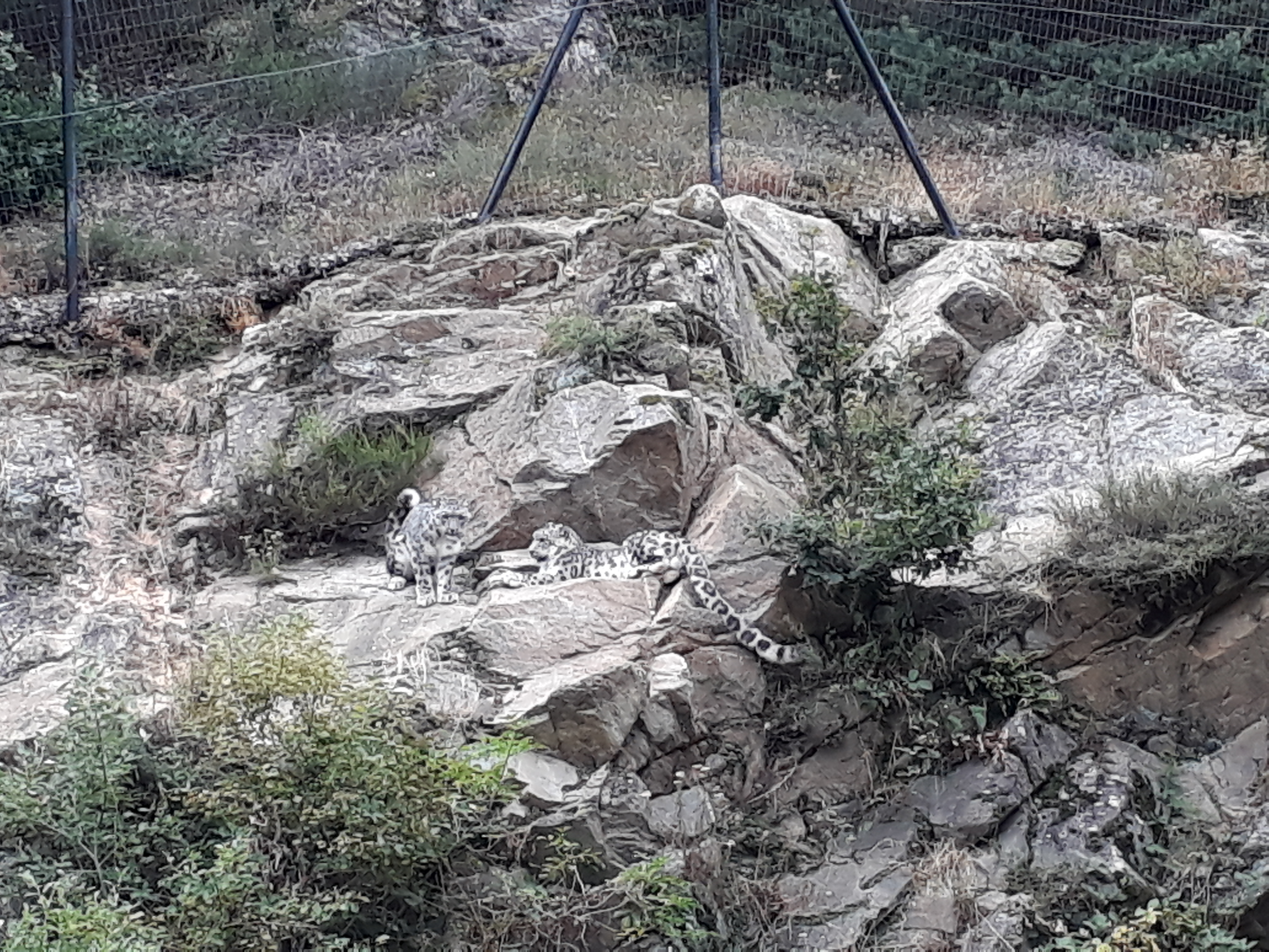 Photo n° 19 de l'avis de Stef.e fait le 15/08/2018 à 14:06