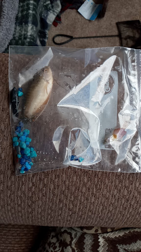 Pet Supply Store «Petco Animal Supplies», reviews and photos, 1680 Campbell Ln, Bowling Green, KY 42104, USA