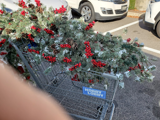 Craft Store «Hobby Lobby», reviews and photos, 3850 Conlon Way w, Elizabeth City, NC 27909, USA