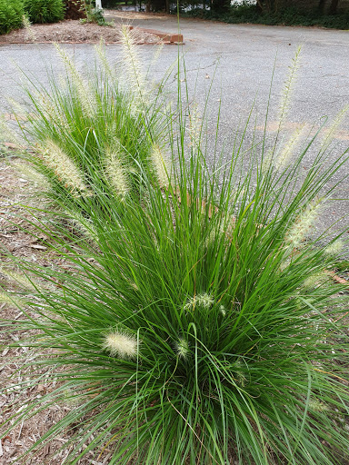 Country Club «Hope Valley Country Club», reviews and photos, 3803 Dover Rd, Durham, NC 27707, USA