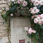 Photo n° 11 de l'avis de rené.a fait le 19/06/2024 à 13:41 pour Mas de la Roche à Montbrison-sur-Lez