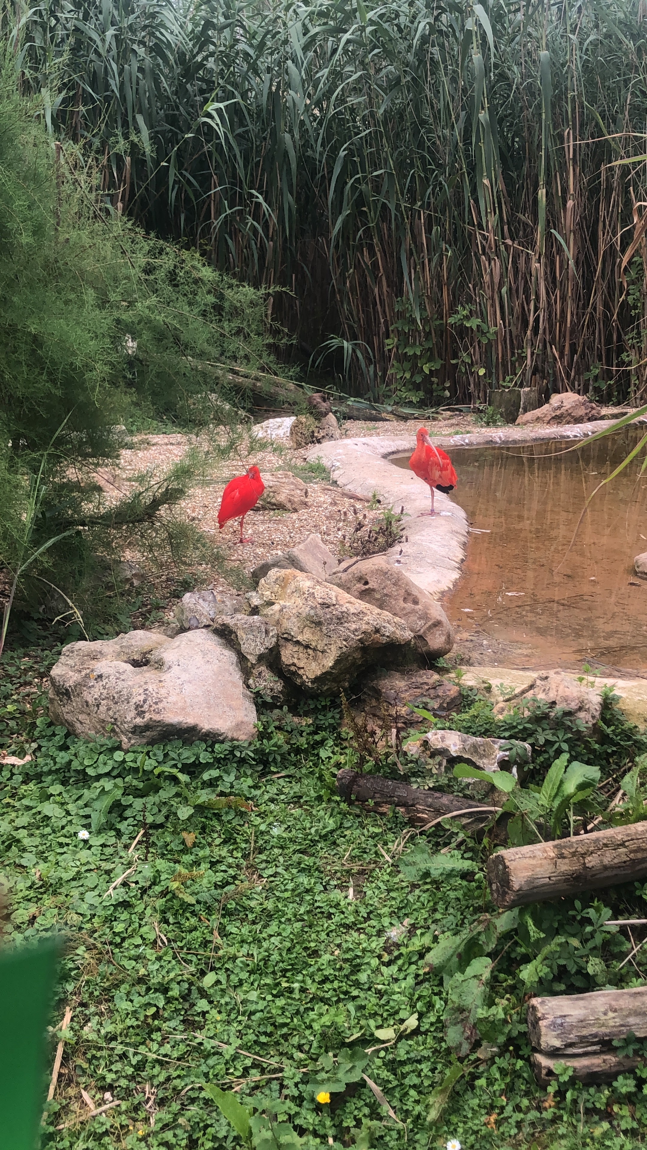Photo n° 2 de l'avis de Anaïs.e fait le 06/08/2023 à 14:46