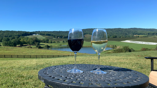 Winery «Trump Winery Tasting Room», reviews and photos, 3550 Blenheim Rd, Charlottesville, VA 22902, USA