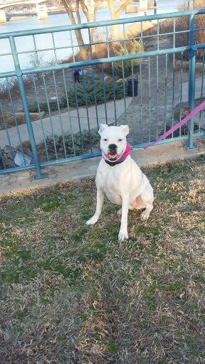 Park «Julius Breckling Riverfront Park», reviews and photos, Ottenheimer Plaza, Little Rock, AR 72201, USA