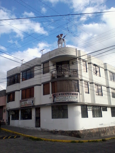 Clínica Veterinaria Chillogallo - Quito
