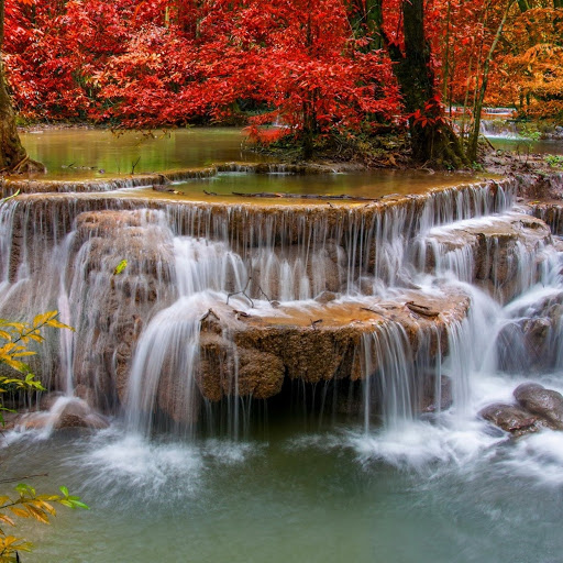 Shopping Mall «Fort Henry Mall», reviews and photos, 2101 Fort Henry Dr, Kingsport, TN 37664, USA