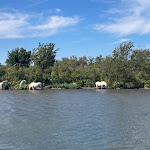 Photo n° 4 de l'avis de Sebastien.u fait le 09/08/2023 à 11:47 pour Tiki III à Saintes-Maries-de-la-Mer