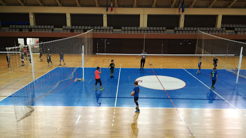 Vincennes Volley Club à Vincennes