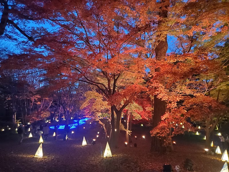 森林公園 中央口ゲート