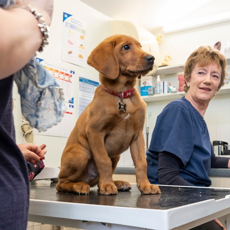 The Barn Veterinary Practice