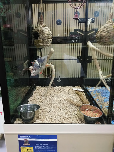 Pet Supply Store «PetSmart», reviews and photos, 1919 Wells Rd, Orange Park, FL 32073, USA