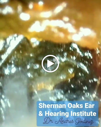 Sherman Oaks Ear and Hearing Aid institute - Tinnitus, Musician Devices, Hearing Loss Specialist image