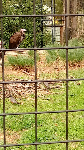 Recreation Center «Clayton County Parks & Recreation», reviews and photos, 2300 State Highway 138, Jonesboro, GA 30236, USA