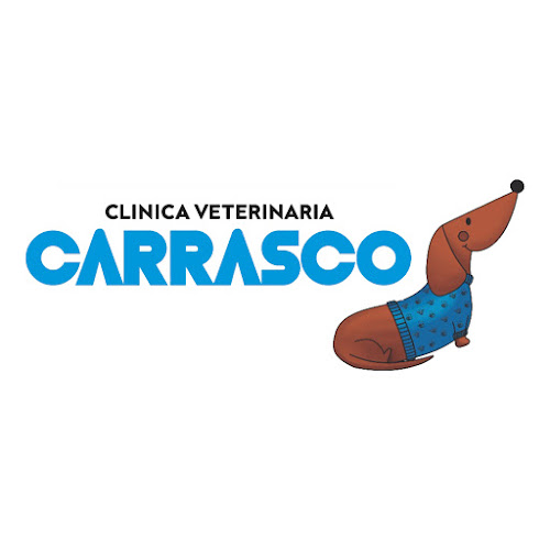 Clínica Veterinaria Carrasco - Punta del Este