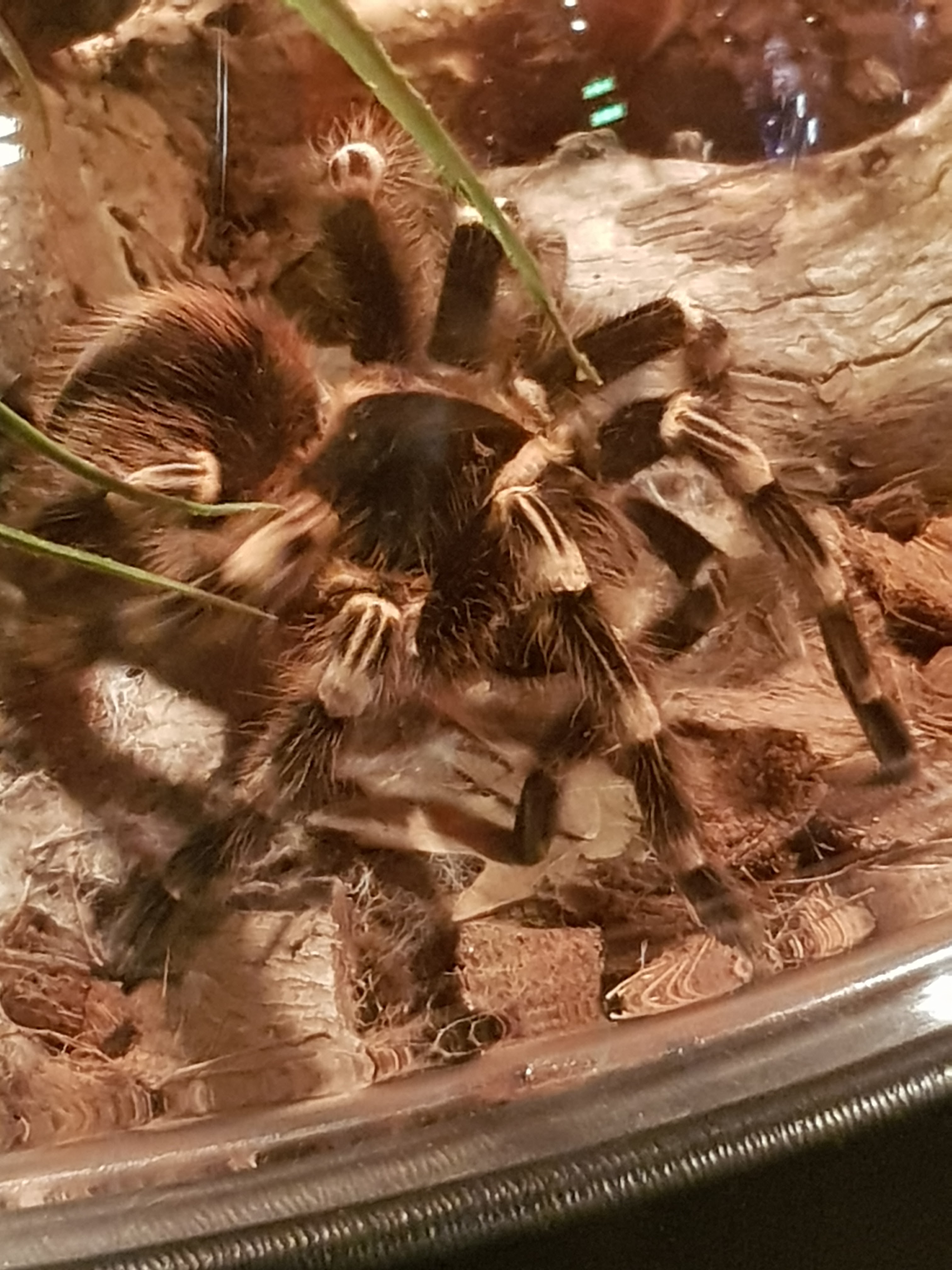 Photo n° 7 de l'avis de Danielle.a fait le 07/03/2019 à 19:30