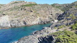 Photo de Cala Fornells avec un niveau de propreté de assez propre