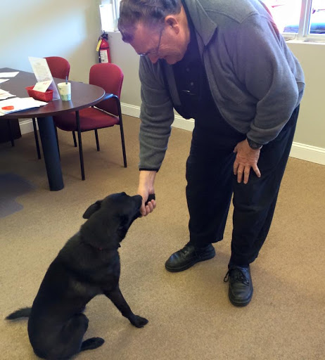 Auto Insurance Agency «Dylan Schaefer - State Farm Insurance Agent», reviews and photos