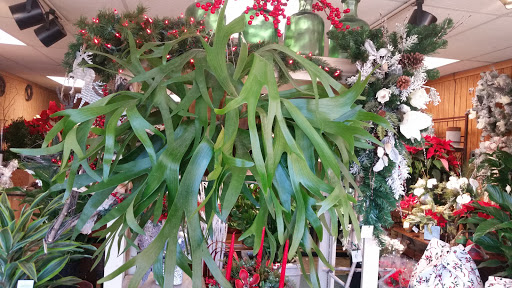 Flowers Flowers, 758 Sumner Ave, Springfield, MA 01108, USA, 