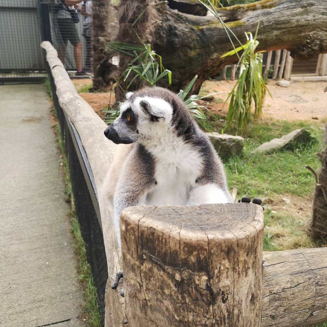 Photo n° 23 de l'avis de Xxx.x fait le 14/08/2020 à 21:01