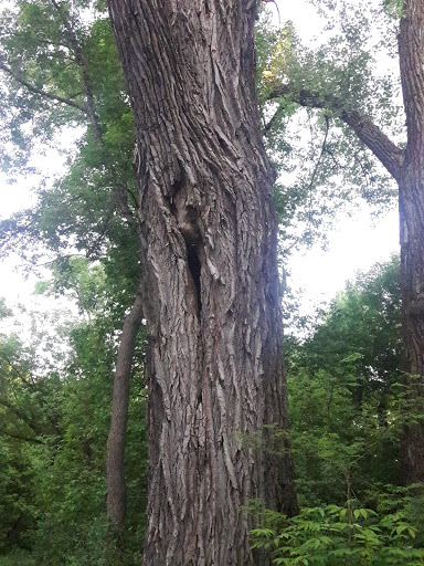 Park «Lake Elmo Park Reserve», reviews and photos, 1515 Keats Ave N, Lake Elmo, MN 55042, USA