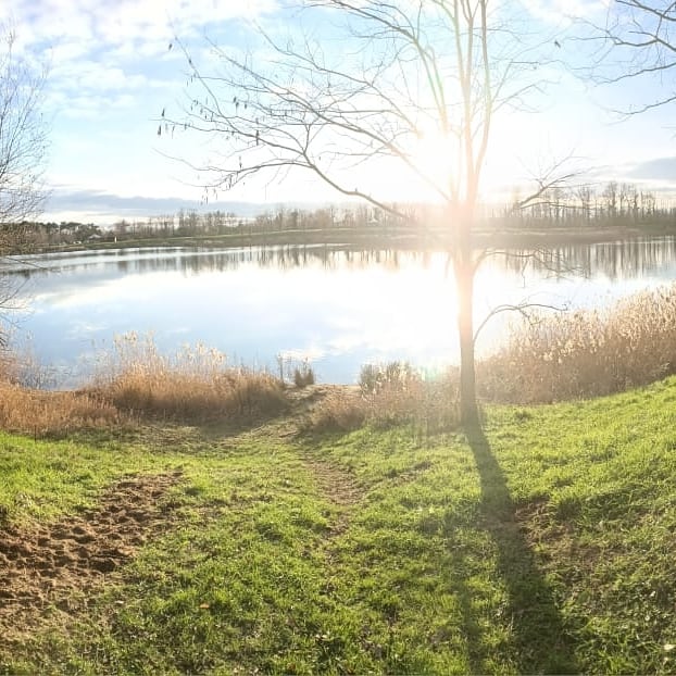 Photo n° 1 de l'avis de REICHEL.V fait le 11/01/2020 à 19:30