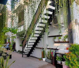 Tickle Hotel photo