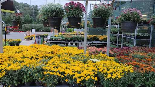 Home Improvement Store «The Home Depot», reviews and photos, 320 Bridgeton Pike, Mantua Township, NJ 08051, USA