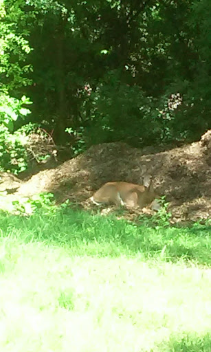 Golf Course «Bunker Hill Golf Course», reviews and photos, 2200 Bunker Hill Rd, Dubuque, IA 52001, USA