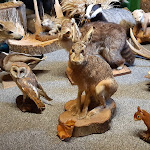 Photo n°2 de l'avis de Ingeborg.o fait le 03/10/2020 à 20:26 sur le  Cafe im Speicher à Amelinghausen