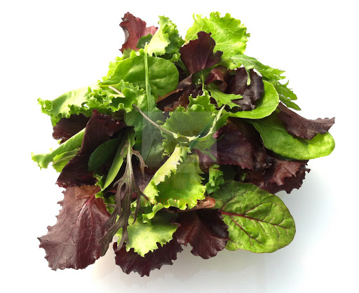 Produce Market «Blue Moon Acres», reviews and photos, 11 Willow Creek Dr, Pennington, NJ 08534, USA