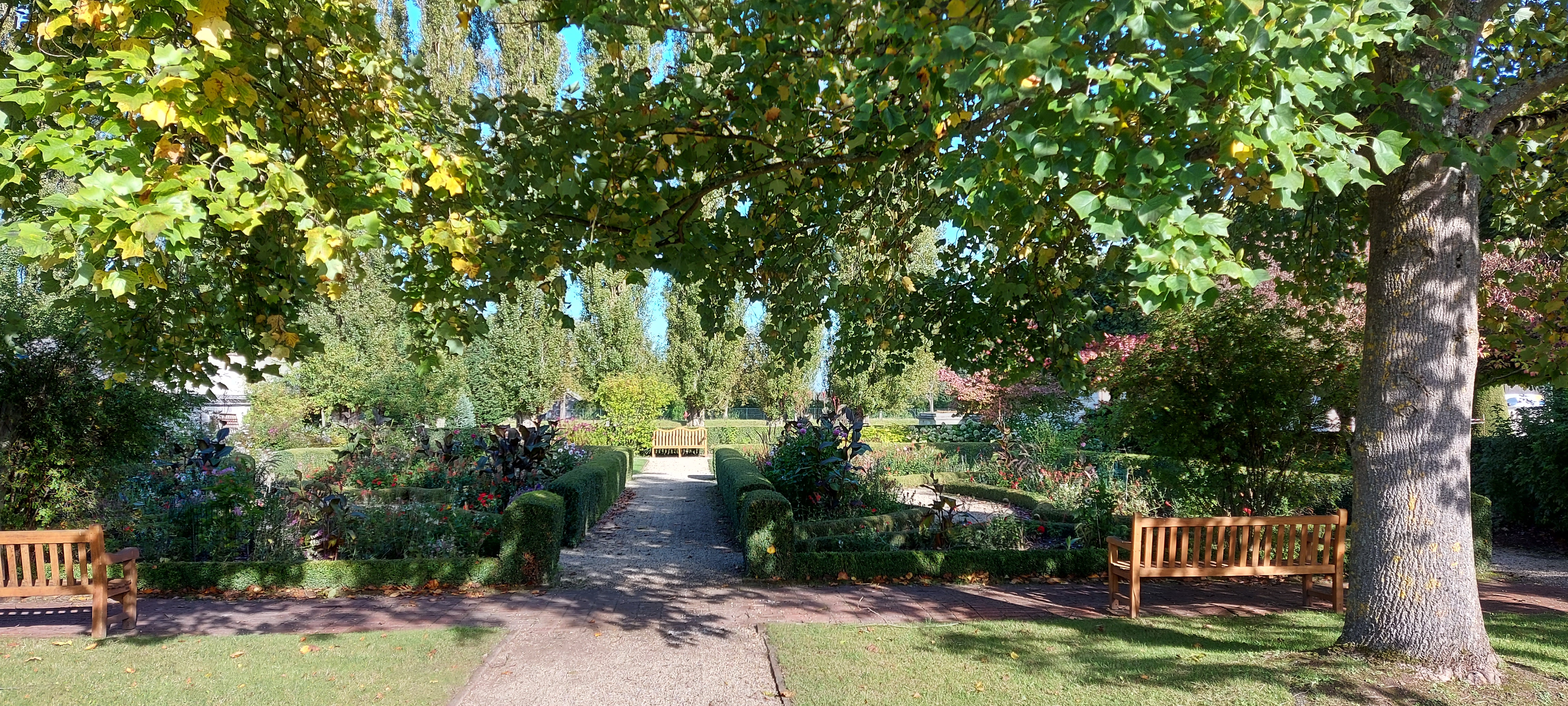 Photo n° 4 de l'avis de vasseur.i fait le 07/10/2021 à 15:03