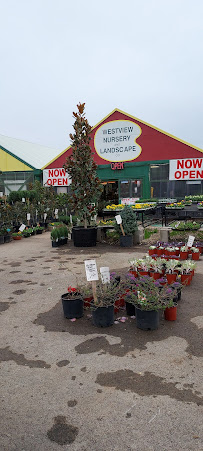 Westview Nursery & Landscape - Photo 8 - Car repair in Waco, TX, Waco