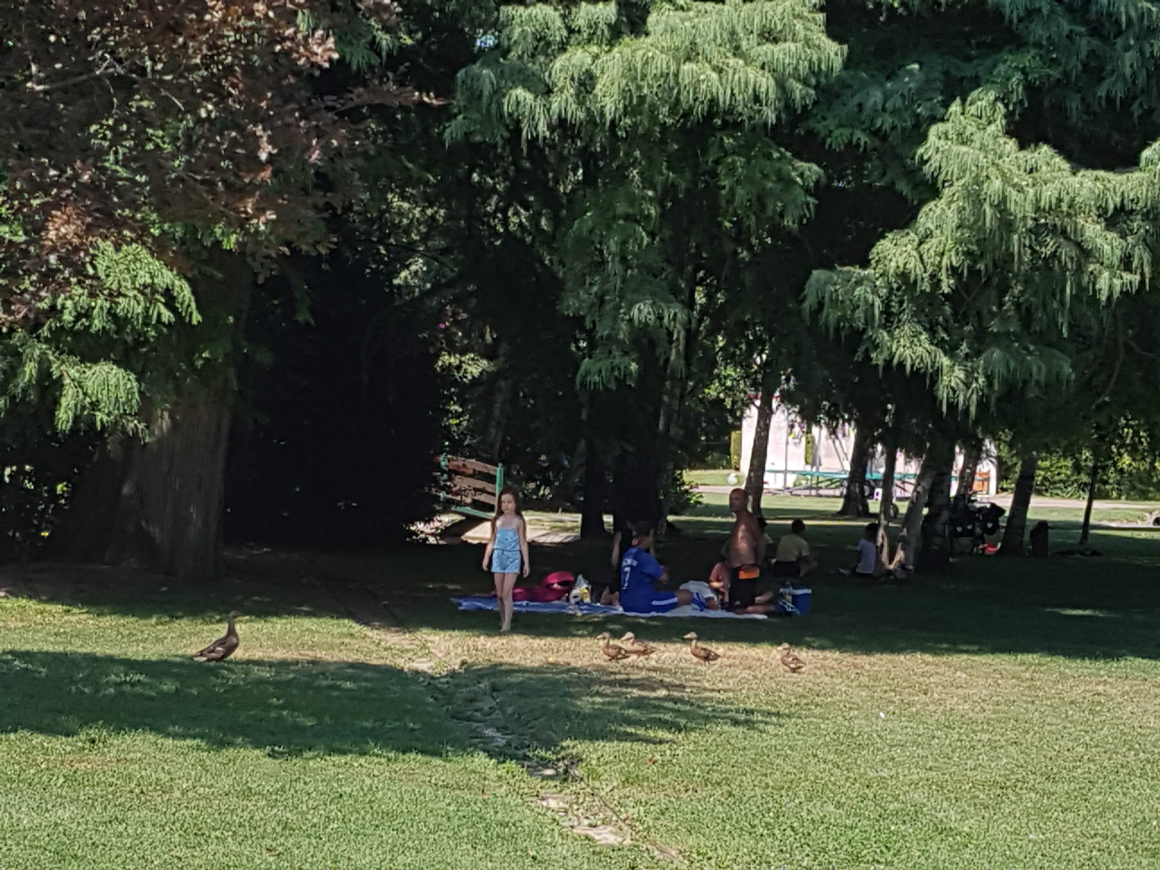 Photo n° 18 de l'avis de Yvette.Y fait le 31/07/2018 à 19:49