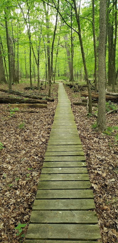 Thorn Creek Woods Nature Preserve