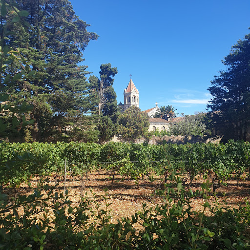 Abbaye de Lérins