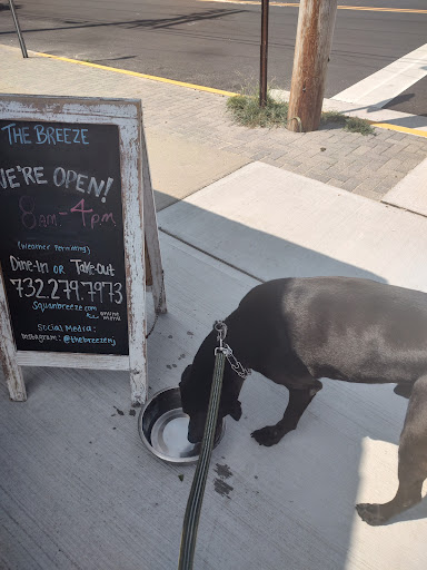 Breakfast Restaurant «Sandy Seagull Corner Store», reviews and photos, 101 1st Ave, Manasquan, NJ 08736, USA