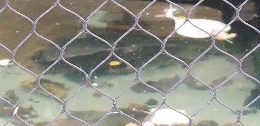 Zoo «Kansas Wildlife Exhibit», reviews and photos, 600-630 Nims N, Wichita, KS 67203, USA