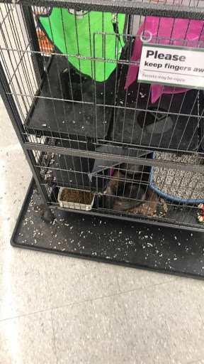 Pet Supply Store «Pet Supplies Plus», reviews and photos, 29493 W Seven Mile Rd, Livonia, MI 48152, USA