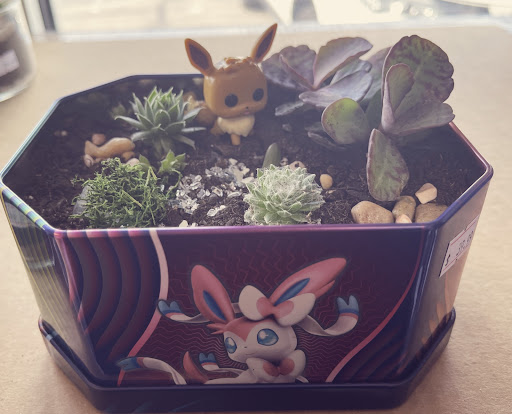 Video Game Store «Legacy Games», reviews and photos, 15086 Claret Ave W, Rosemount, MN 55068, USA