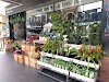The Flower Room Logo, Newtown, Australia, Florist